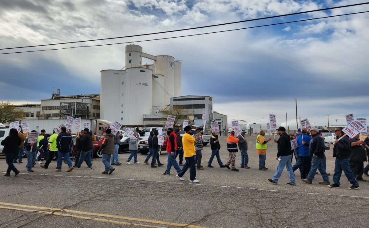 Spreckels Workers Plan 3Week Strike » Holtville Tribune