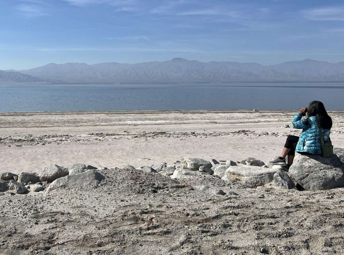 Salton Sea is Ground Zero for 'Bird’s' Eye Views » Holtville Tribune