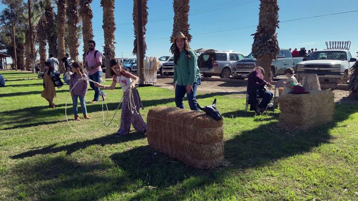 Fall Cavalcade Celebrates Valley Cattleman Culture » Holtville Tribune